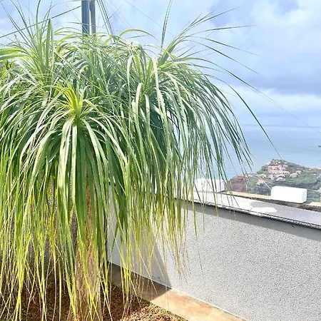 Cassolino * Ribeira Brava